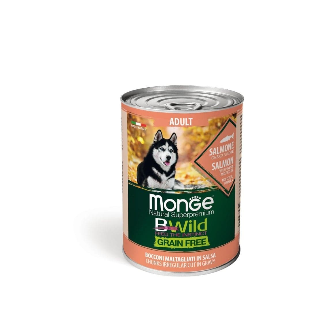 118980678 2700799283496629 984220951855868031 n