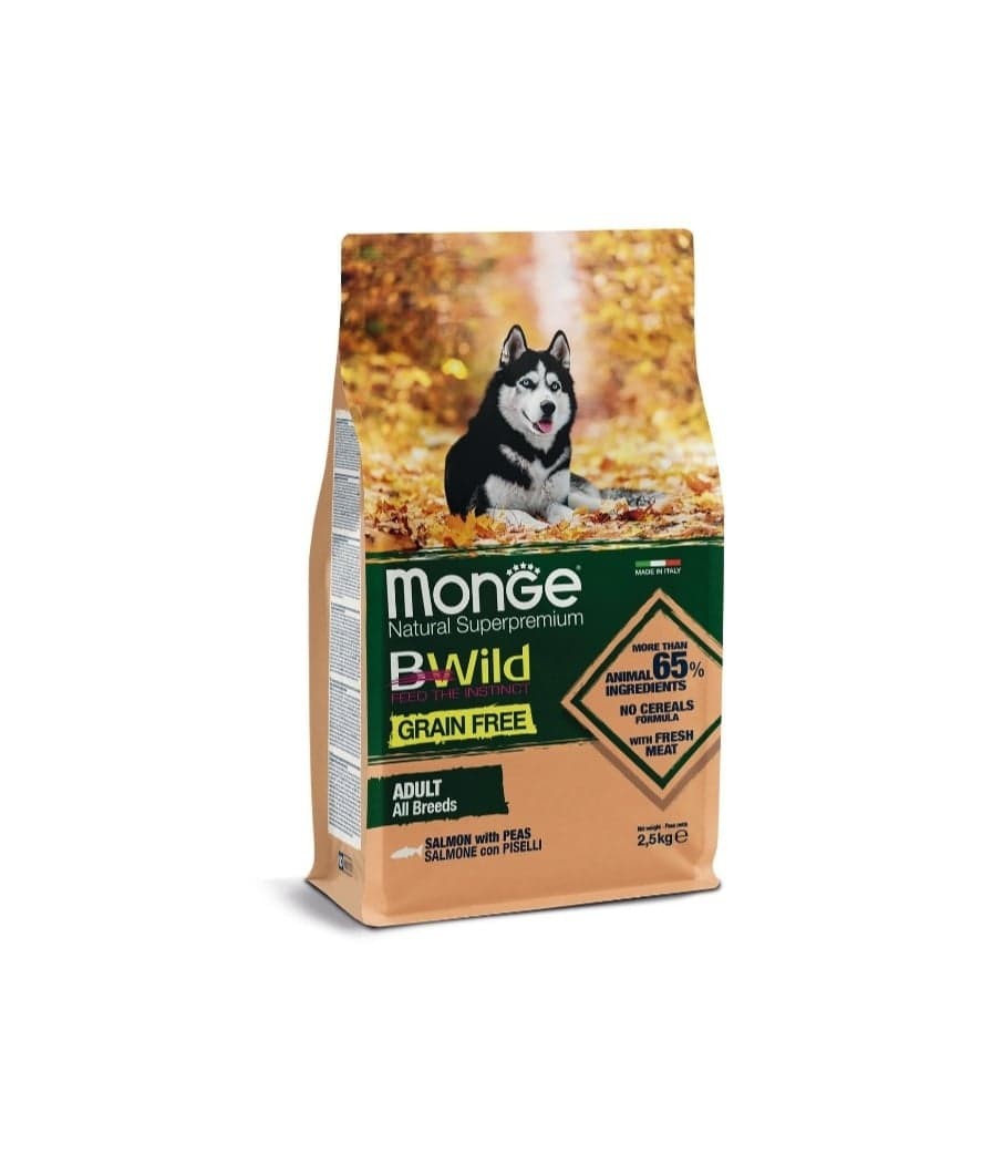 118994532 3249251725182632 7775448489455884597 n