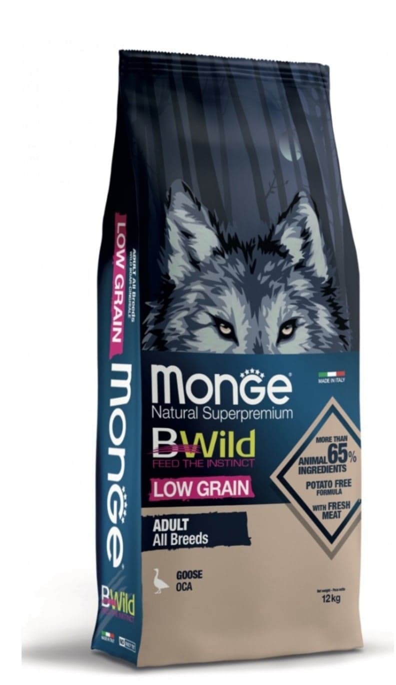 119035258 754750765365657 5615074878539464165 n