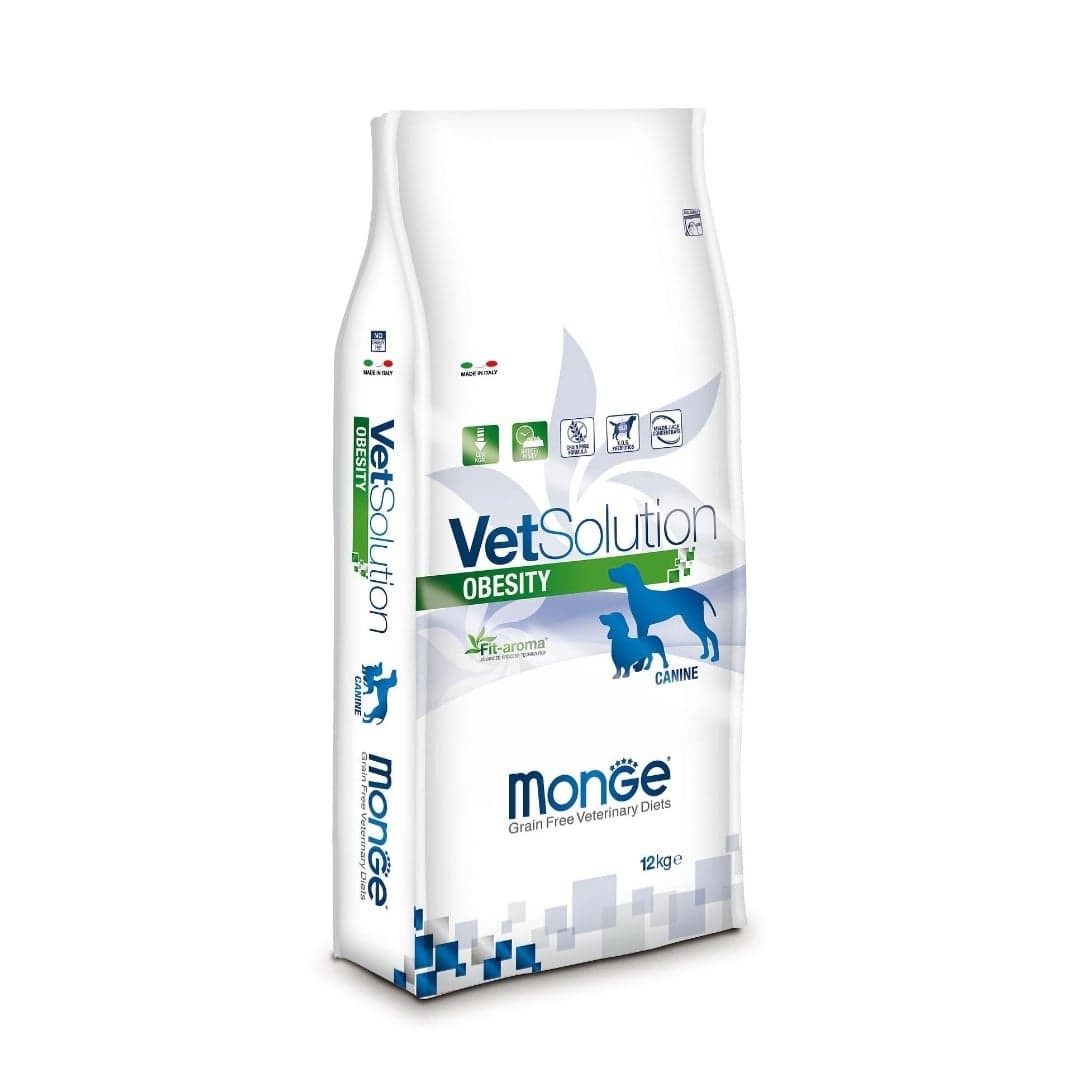 119040342 2457263421232840 6173836211828045453 n