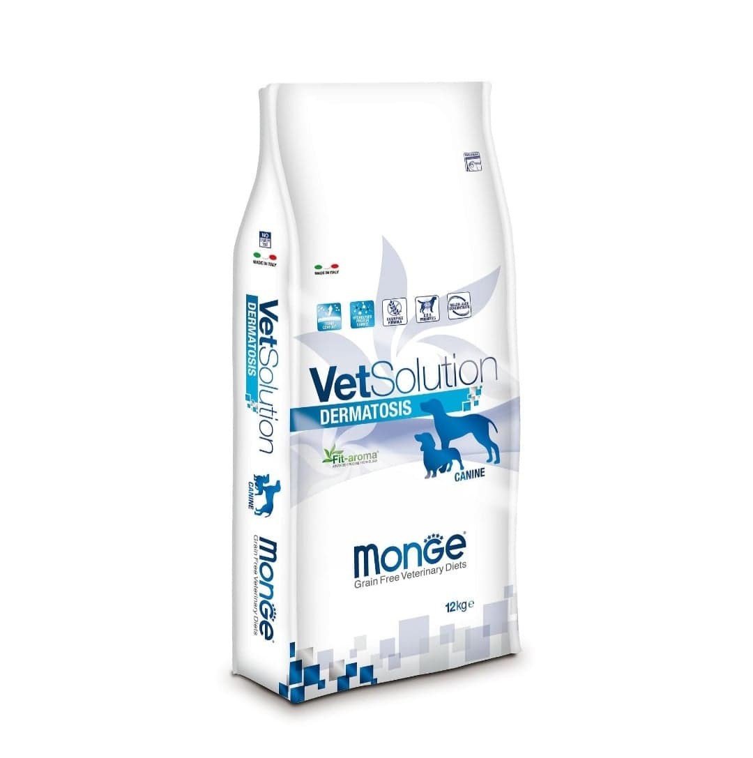 119049087 1235288223514084 4557078147585158135 n