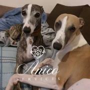 Nesta ma cherie et Bb Ombre